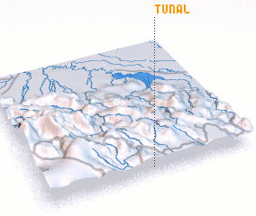 3d view of Tunal