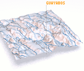 3d view of Guayabos