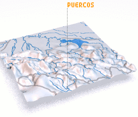 3d view of Puercos