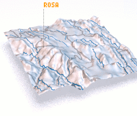 3d view of Rosa