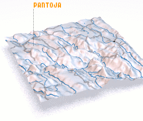 3d view of Pantoja