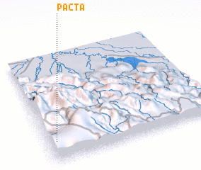 3d view of Pacta