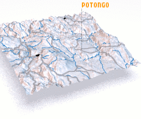 3d view of Potongo