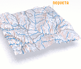 3d view of Ñequeta