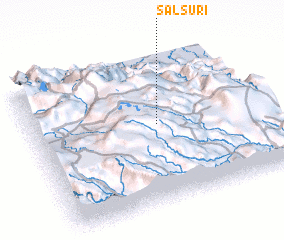 3d view of Salsuri