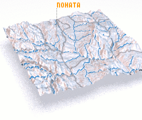 3d view of Nohata