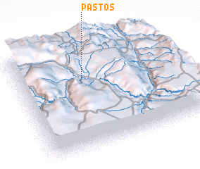 3d view of Pastos