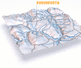 3d view of Purumpunta