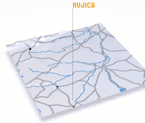 3d view of Mujica