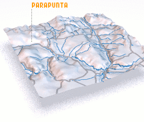 3d view of Parapunta