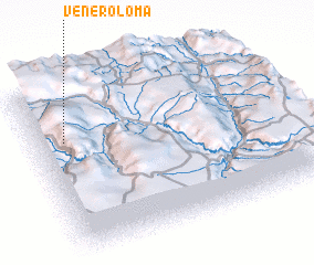 3d view of Veneroloma