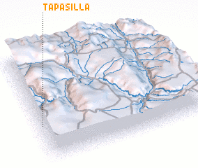 3d view of Tapasilla