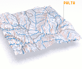 3d view of Palta