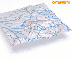 3d view of Coyapunta