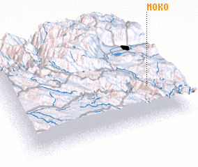 3d view of Moko