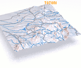 3d view of Totoni