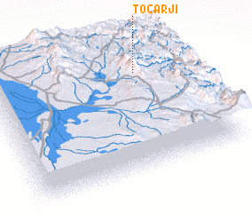 3d view of Tocarji