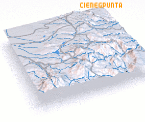 3d view of Cienegpunta