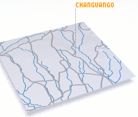 3d view of Changuango