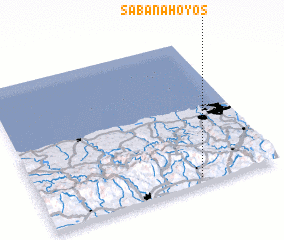 3d view of Sabana Hoyos