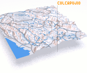 3d view of Colcapujio