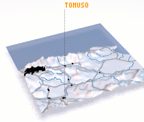 3d view of Tomuso