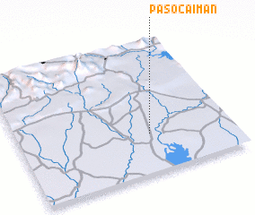 3d view of Paso Caimán