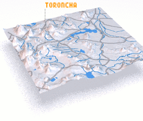 3d view of Toroncha