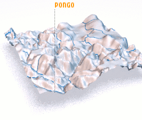 3d view of Pongo