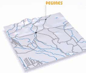 3d view of Pegones