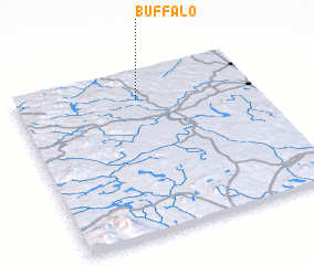 3d view of Buffalo