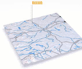 3d view of Nixon