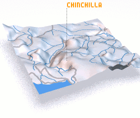 3d view of Chinchilla