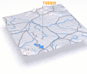 3d view of Torqui