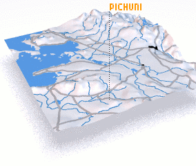 3d view of Pichuni