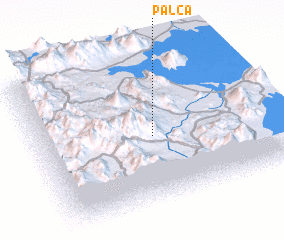 3d view of Palca