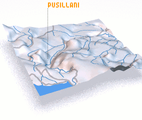 3d view of Pusillani