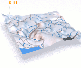 3d view of Puli