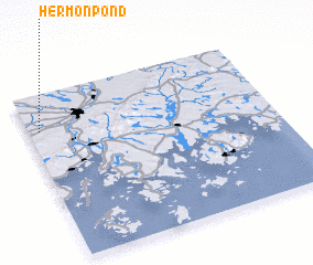 3d view of Hermon Pond
