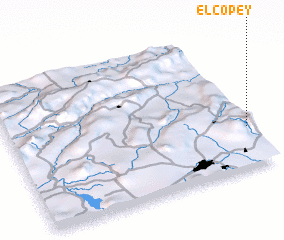 3d view of El Copey