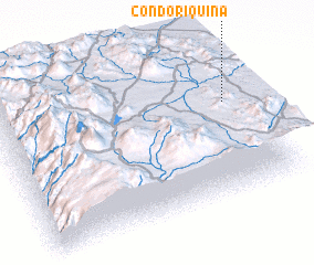 3d view of Condoriquiña