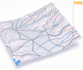 3d view of Tuna