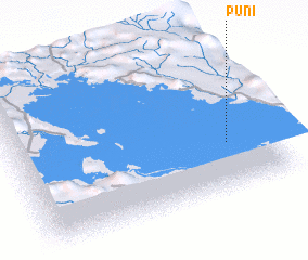 3d view of Puni