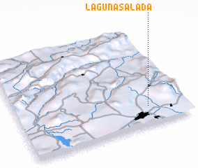 3d view of Laguna Salada