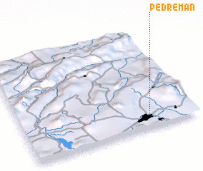 3d view of Pedremán