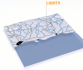 3d view of Liquito