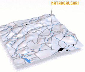 3d view of Mata de Algari