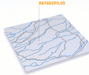 3d view of Mata de Pilón