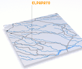 3d view of El Papayo