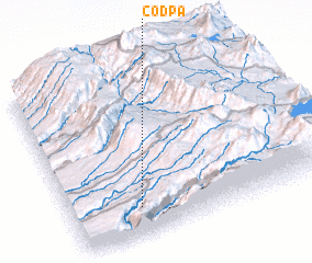 3d view of Codpa